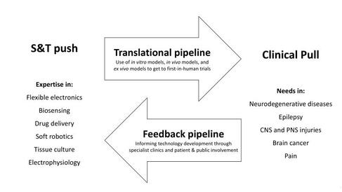Our translational research model